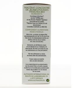 Troène (Ligustrum vulgare) bourgeon unitaire BIO, 50 ml